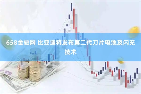 658金融网 比亚迪将发布第二代刀片电池及闪充技术