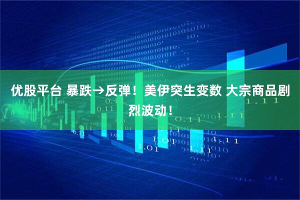 优股平台 暴跌→反弹！美伊突生变数 大宗商品剧烈波动！