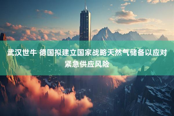 武汉世牛 德国拟建立国家战略天然气储备以应对紧急供应风险