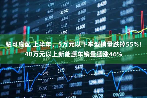 融可赢配 上半年，5万元以下车型销量跌掉55%！40万元以上新能源车销量猛涨46%
