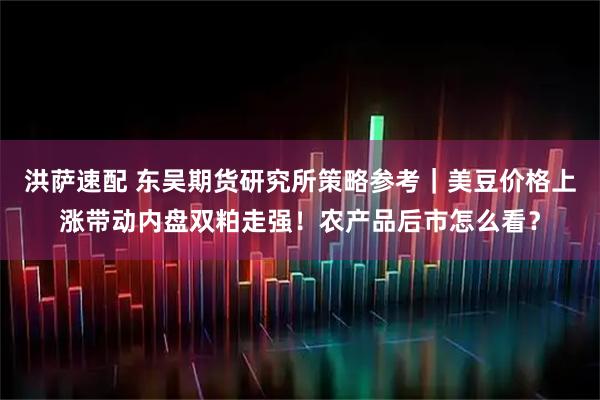 洪萨速配 东吴期货研究所策略参考｜美豆价格上涨带动内盘双粕走强！农产品后市怎么看？