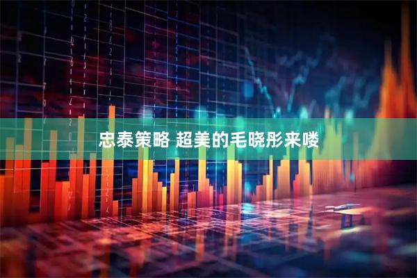 忠泰策略 超美的毛晓彤来喽