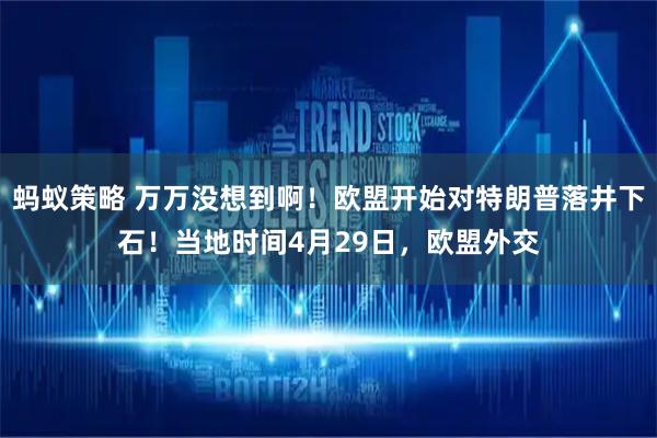蚂蚁策略 万万没想到啊!欧盟开始对特朗普落井下石!当地时间4月29日,欧盟外交