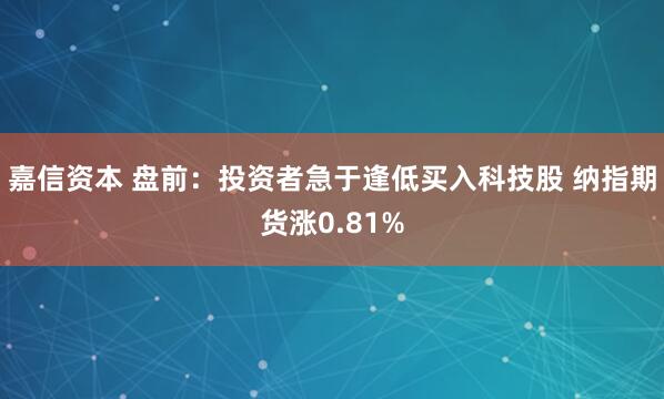 嘉信资本 盘前：投资者急于逢低买入科技股 纳指期货涨0.81%