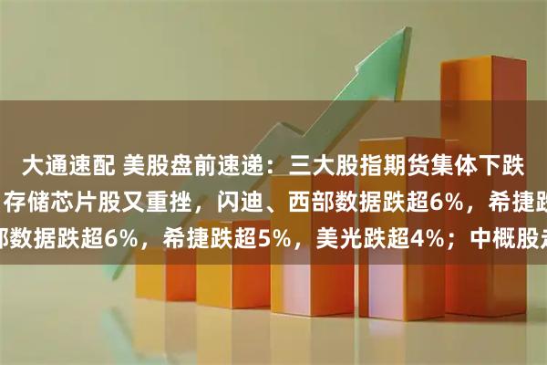 大通速配 美股盘前速递：三大股指期货集体下跌，纳指跳水跌超2%！存储芯片股又重挫，闪迪、西部数据跌超6%，希捷跌超5%，美光跌超4%；中概股走弱