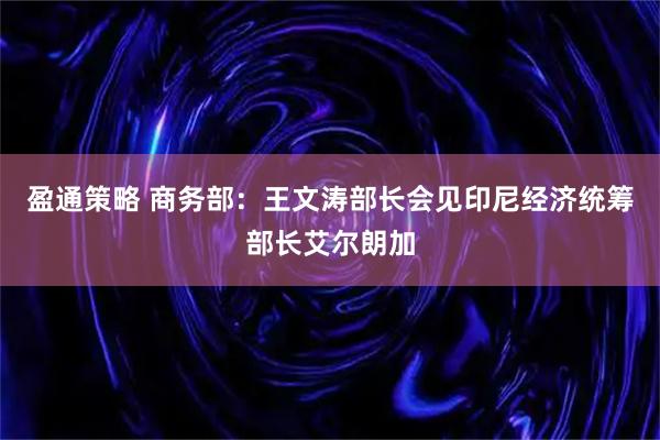 盈通策略 商务部：王文涛部长会见印尼经济统筹部长艾尔朗加