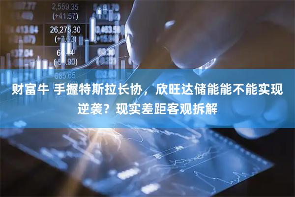 财富牛 手握特斯拉长协，欣旺达储能能不能实现逆袭？现实差距客观拆解